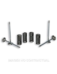 VÁLVULAS T STROKE MALOSSI C/ MUELLES MOTOR PIAGGIO LEADER 