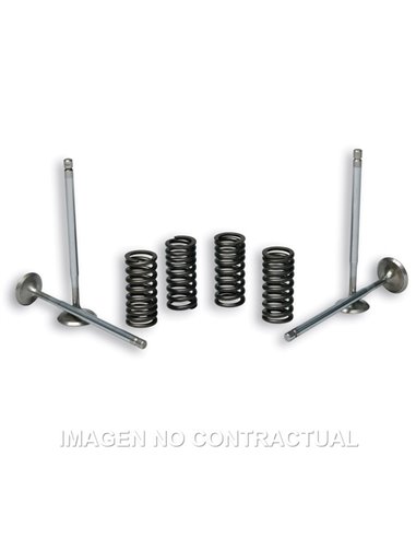 VÁLVULAS T STROKE MALOSSI C/ MUELLES MOTOR PIAGGIO LEADER 