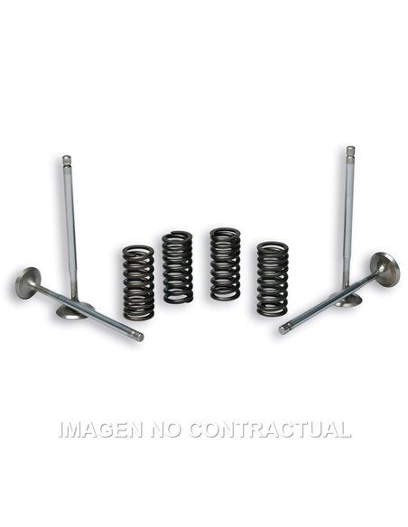 VÁLVULAS T STROKE MALOSSI C/ MUELLES MOTOR PIAGGIO LEADER 