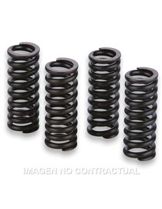 MUELLES PARA VÁLVULAS MOTOR GILERA RUNNER VXR 200 