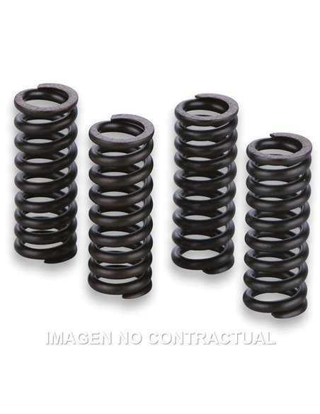 MUELLES PARA VÁLVULAS MOTOR GILERA RUNNER VXR 200 