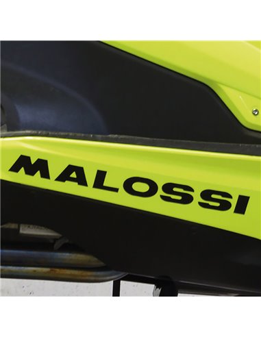 ADHESIVO MALOSSI LEON NEGRO 