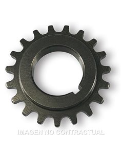 ENGRANAJE CIGÜEÑAL MALOSSI Z19 X 17 MM 