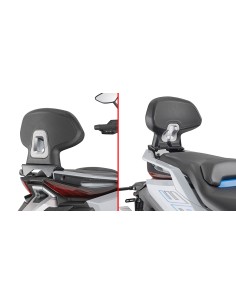 RESPALDO ZONTES.G.368 (2025)