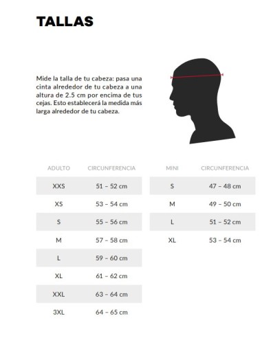 LS2 FF807 DRAGON FORGED CARBON