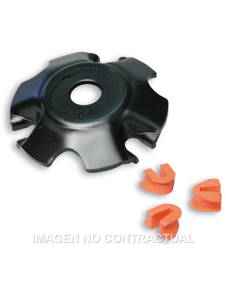 Tapa Rampas Variador Para Cigüeñal 5312810 