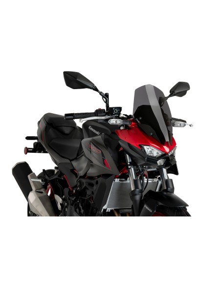 CBRIS. NEW GENERATION TOURING KAWASAKI Z500 24'