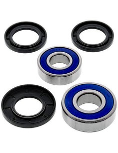 Kit de rodamientos rueda All Balls 25-1665