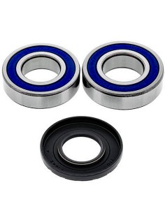 Kit de rodamientos rueda All Balls 25-1667