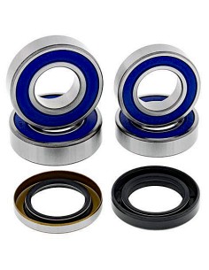 Kit de rodamientos rueda All Balls 25-1673