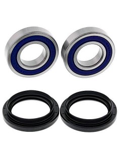 Kit de rodamientos rueda All Balls 25-1693