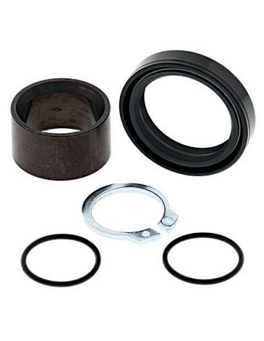 Kit de revisión piñón de salida All Balls 25-4005