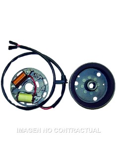 VOLANTE MAGNÉTICO 4 POLOS 6V 18W 