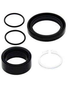 Kit de revisión piñón de salida All Balls 25-4012