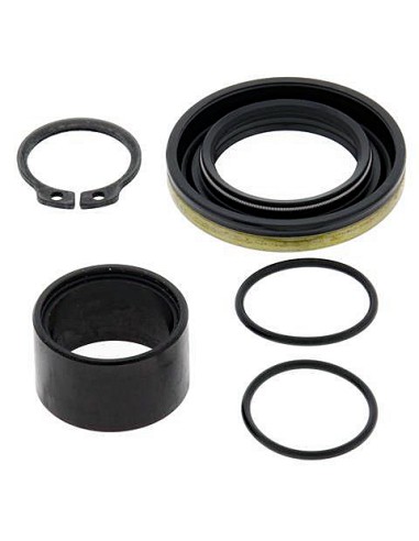 Kit de revisión piñón de salida All Balls 25-4013