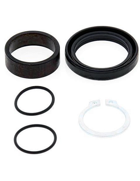 Kit de revisión piñón de salida All Balls 25-4015