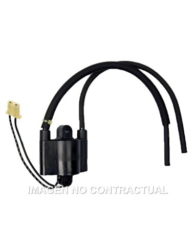 BOBINA DE DOBLE ENCENDIDO F6T5532 