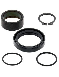 Kit de revisión piñón de salida All Balls 25-4016