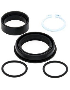 Kit de revisión piñón de salida All Balls 25-4028