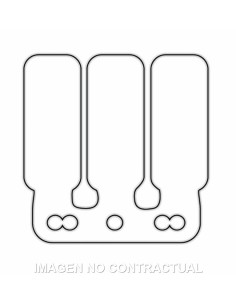 Láminas Carbono Caja Original Derbi Senda , GPR 50 