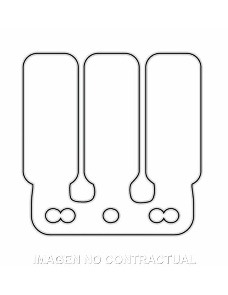 Láminas Carbono Caja Original Derbi Senda , GPR 50 