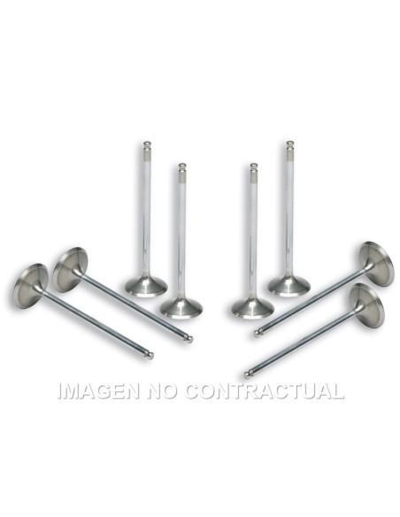 Válvulas Malossi Culata Original Yamaha T-Max 500 