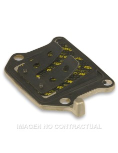 Caja De Láminas De Carbono Aprilia SR 50 