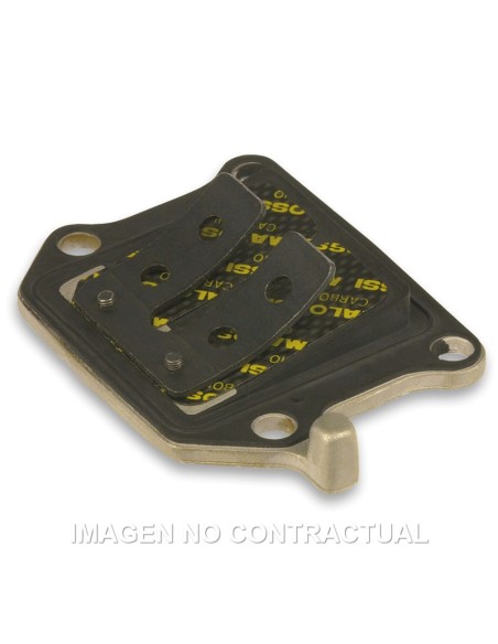 Caja De Láminas De Carbono Aprilia SR 50 