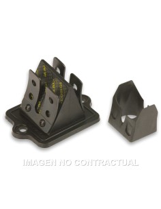 Caja Láminas VL11 Carbono Piaggio Skipper 