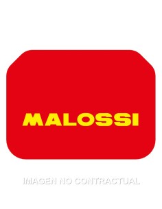 FILTRO AIRE ADAPTABLE MALOSSI SUZUKI BURGMAN 400 