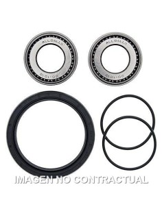 KIT DE RODAMIENTOS RUEDA ALL BALLS 25-1008