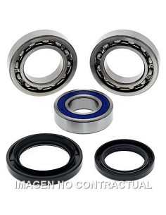 KIT DE RODAMIENTOS RUEDA ALL BALLS 25-1018