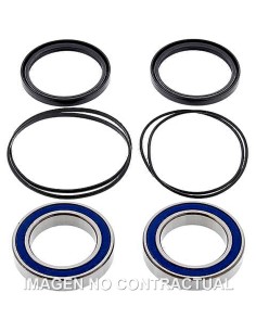 KIT DE RODAMIENTOS RUEDA ALL BALLS 25-1320