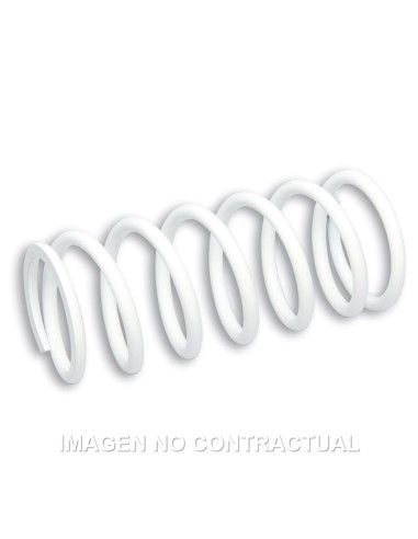 MUELLE REFORZADO AMORTIGUADOR DELANTERO RS24 MALOSSI 