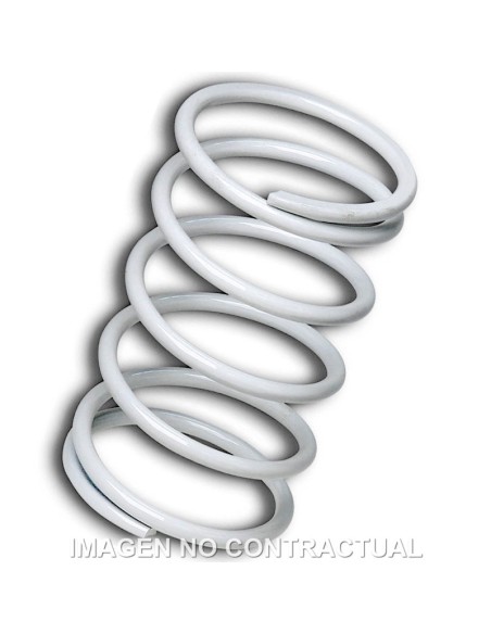 MUELLE POLEA CONDUCIDA BLANCO GILERA NEXUS 500 