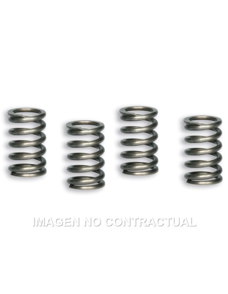 MUELLES EMBRAGUE ORIGINAL PIT BIKE 