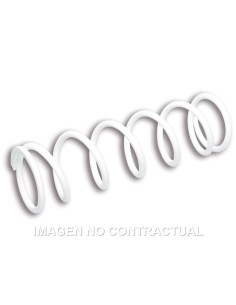 MUELLE AMORTIGUADOR MALOSSI RS24/10 PIAGGIO 50