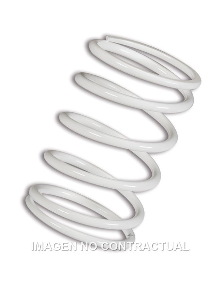 MUELLE POLEA CONDUCIDA BLANCO  BMW C 600