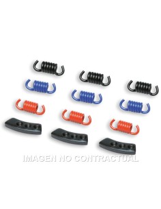 MUELLES EMBRAGUE DELTA CLUTCH MALOSSI MHR 