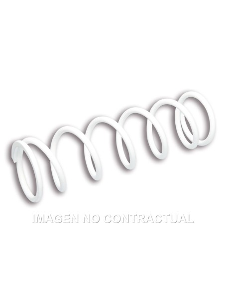 MUELLE REFORZADO AMORTIGUADOR TRASERO RS24 MALOSSI 