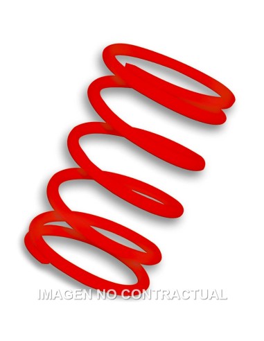 MUELLE POLEA CONDUCIDA ROJO LEONARDO 250 