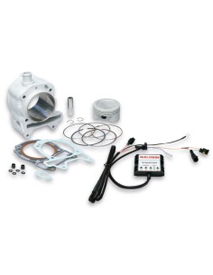 CILINDRO MALOSSI HI-TECH GILERA NEXUS 125 I 