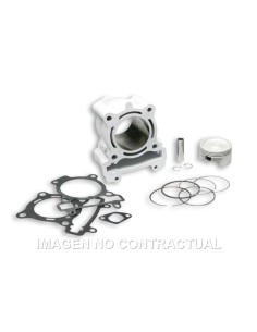 CILINDRO MALOSSI ALUMINIO RIEJU MARATHON PRO 125 