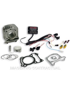 CILINDRO COMPLETO MALOSSI I-TECH PIAGGIO LIBERTY IGET 125  