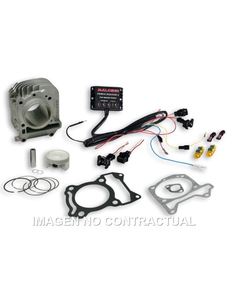 CILINDRO COMPLETO MALOSSI I-TECH PIAGGIO LIBERTY IGET 125  