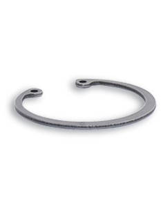 CLIP EJE DE RUEDA MALOSSI 49,5X44,5X1,7 MM 