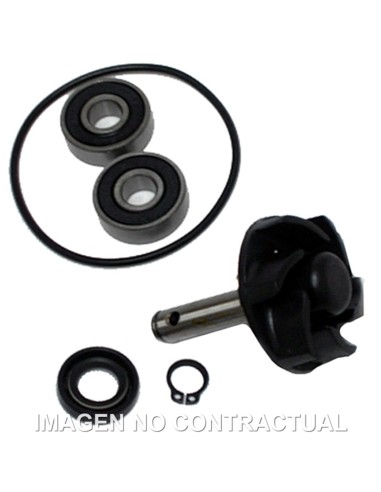 KIT REPARACIÓN BOMBA DE AGUA MOTOR MINARELLI 50