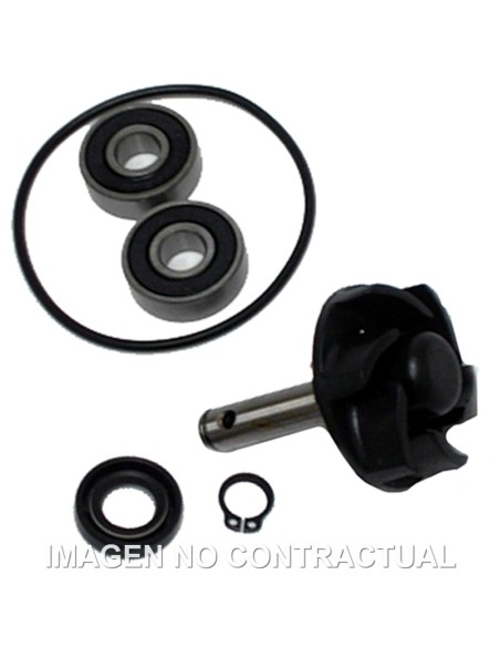 KIT REPARACIÓN BOMBA DE AGUA MOTOR MINARELLI 50