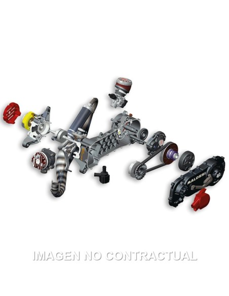 MOTOR COMPLETO MALOSSI RC ONE PIAGGIO RUEDA 10 