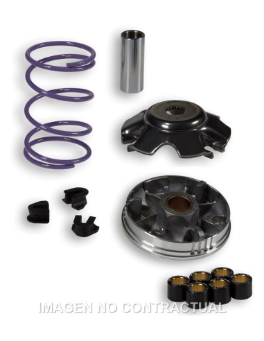 VARIADOR MALOSSI MULTIVAR 2000 SCARABEO 100 4T 